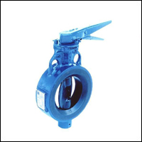 audco-butterfly-Valve-In-Hyderabad