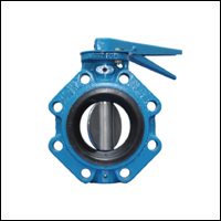 rubber-lined-butterfly-Valve-In-Hyderabad